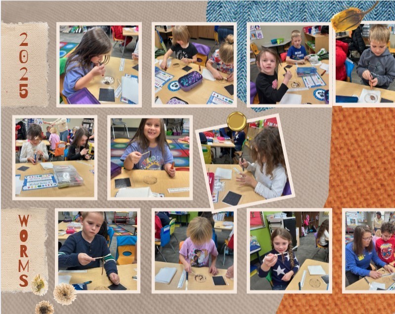 First Grade - Worms to the Wise