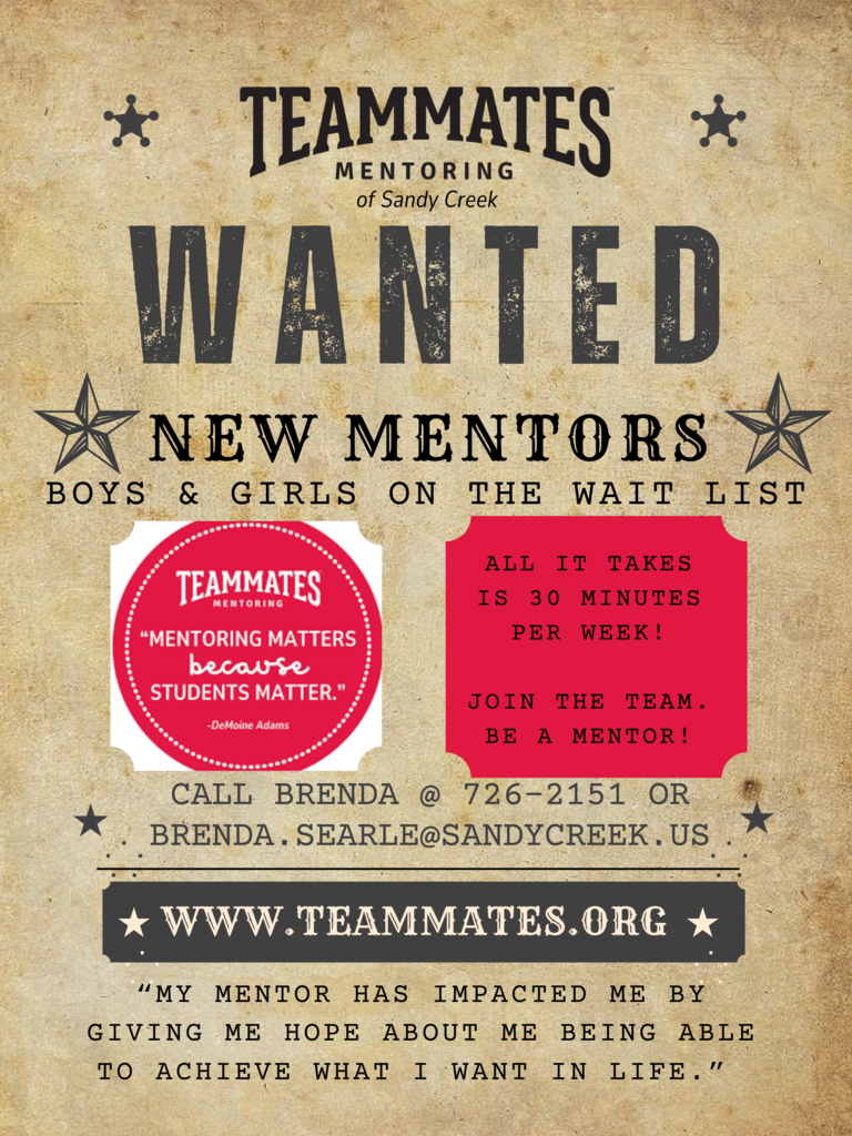 Join the Team. Be a Mentor.
