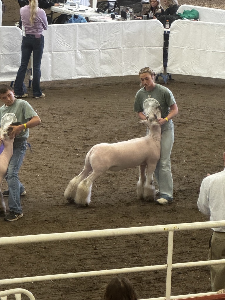 Sandy Creek FFA members compete at Nebraska State Fair