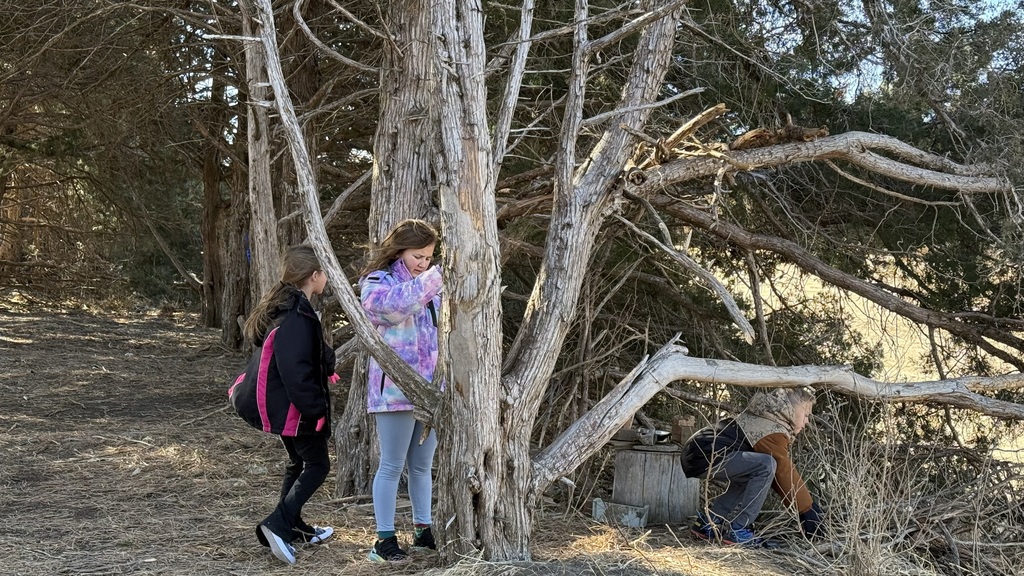 Enjoying the sunshine