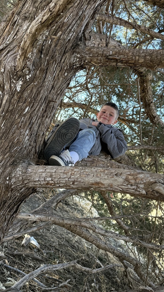 Enjoying the sunshine