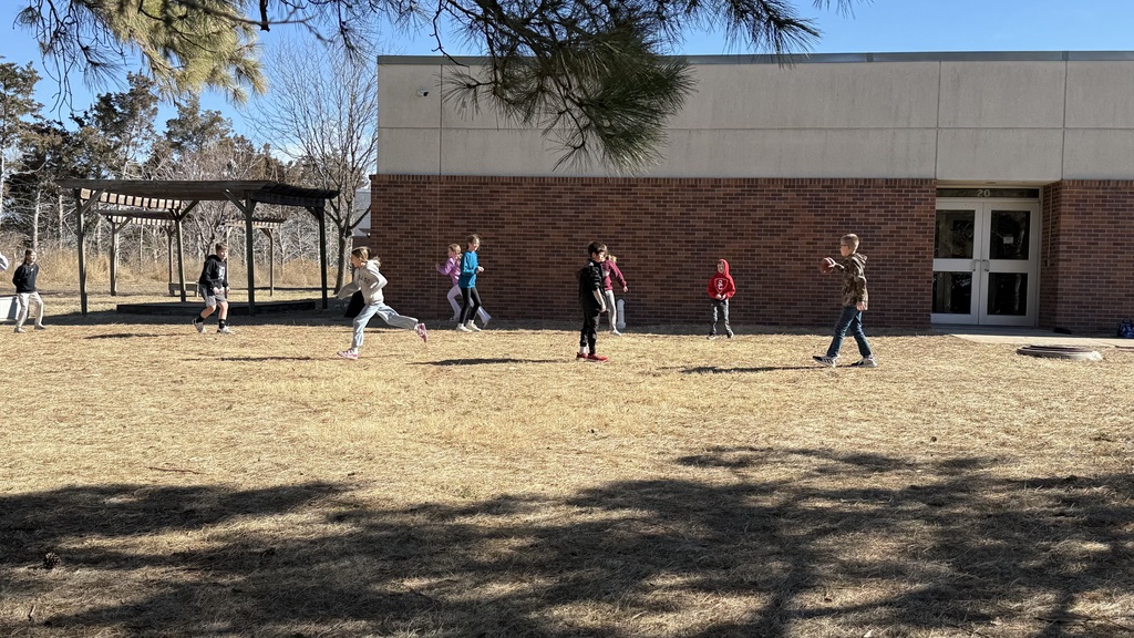 Enjoying the sunshine