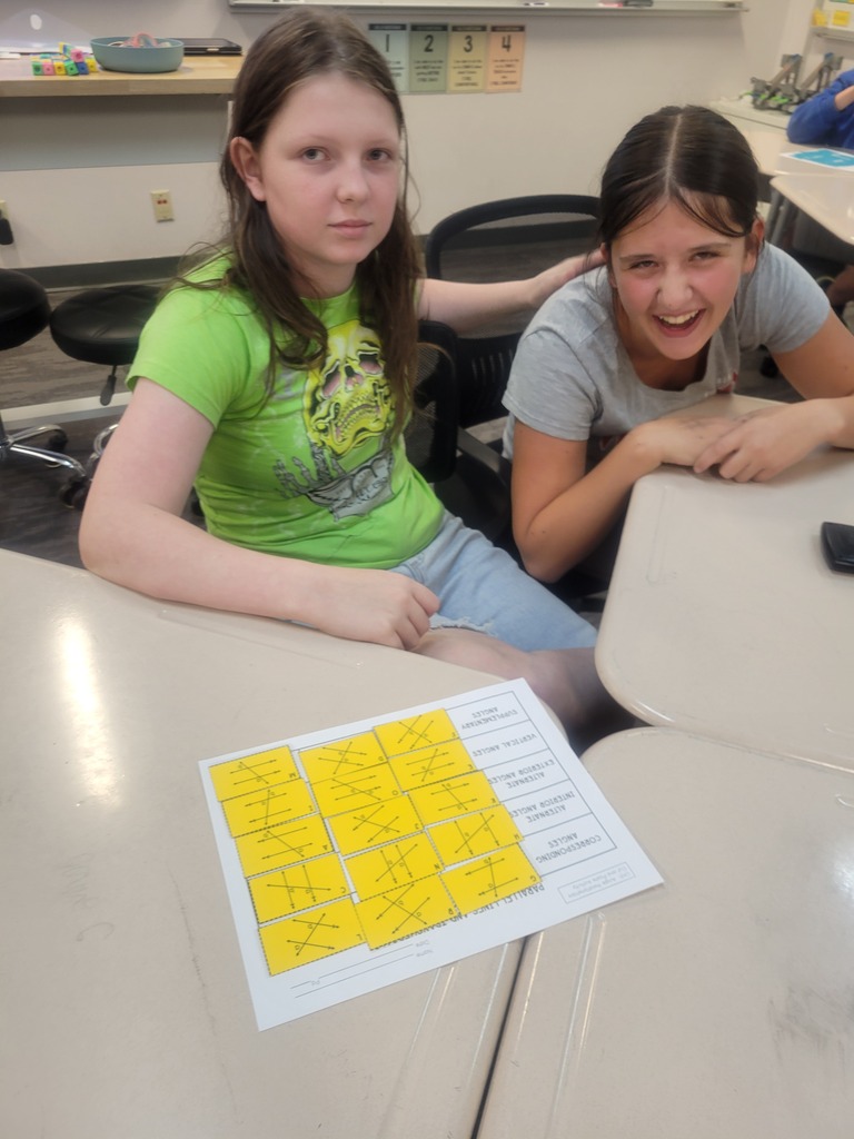Math card sort activity to learn about angle relationships.