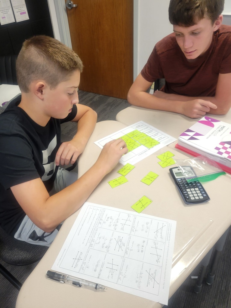 Math card sort activity to learn about angle relationships.