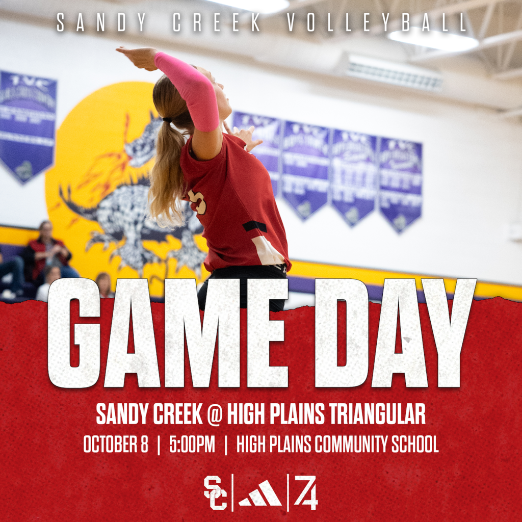 VB GAMEDAY