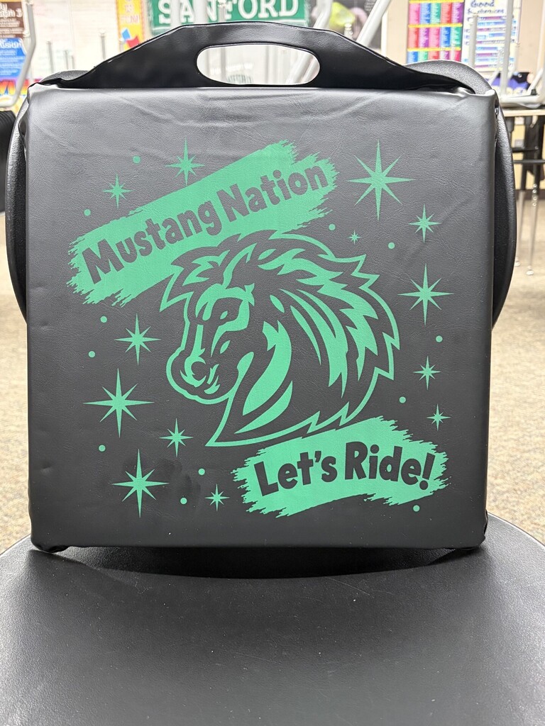 Stadium seat cushion