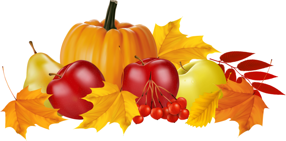 fall 