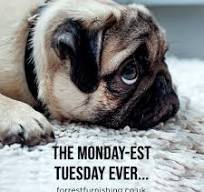 Tuesday