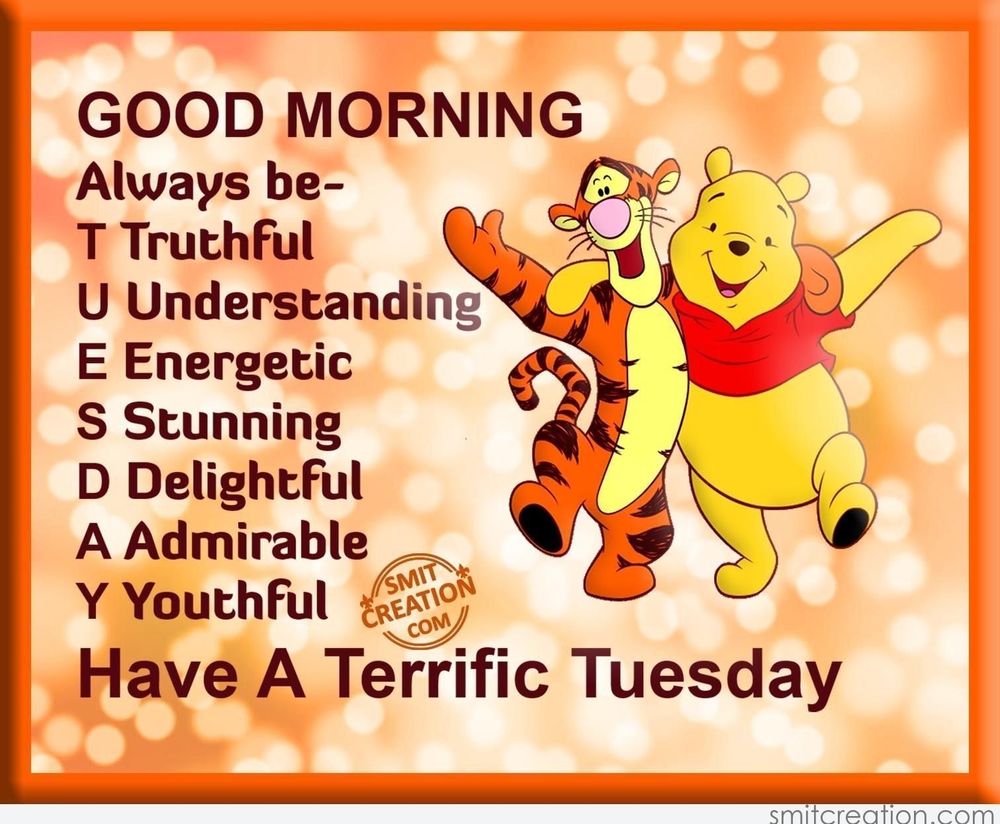 TUESDAY, NOVEMBER 5TH