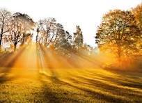 Fall