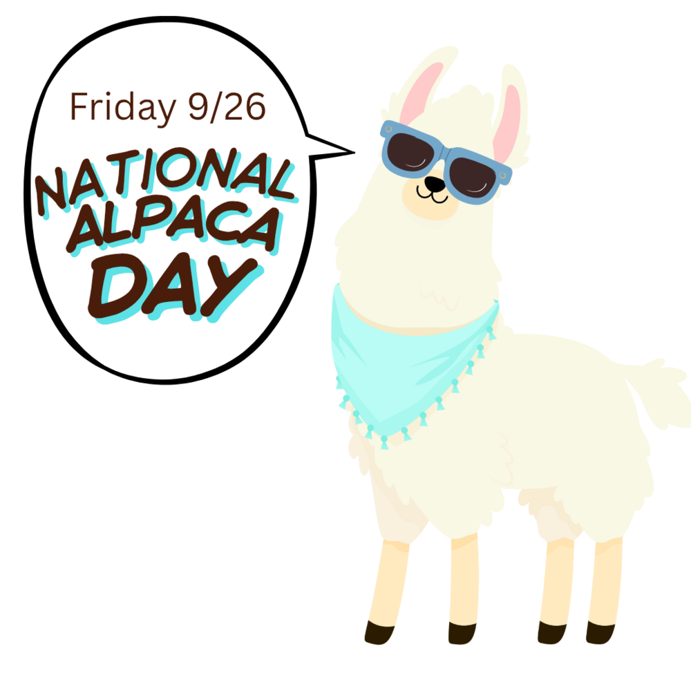 alpaca