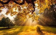 Fall