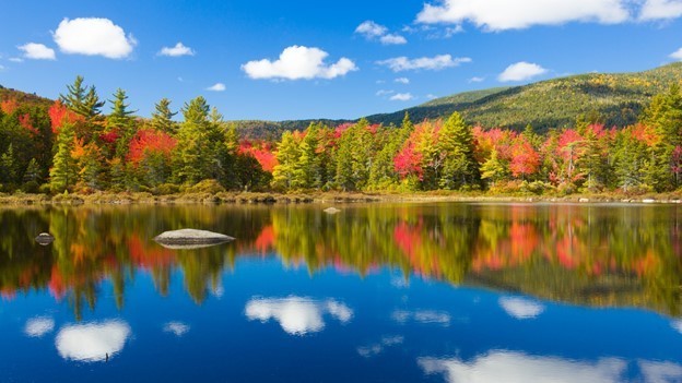 fall