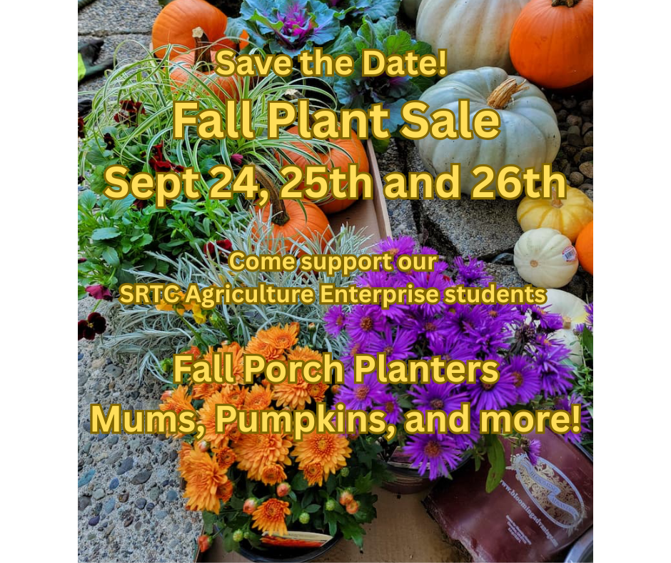 Fall flower sale
