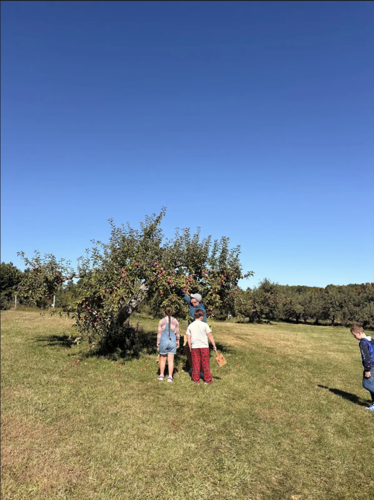 A staff member helps the children pick an apple.