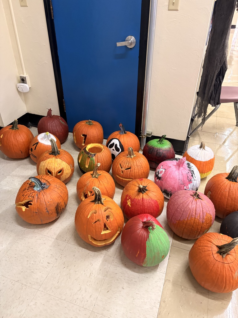 A display of the painted pumpkins the students decorated.