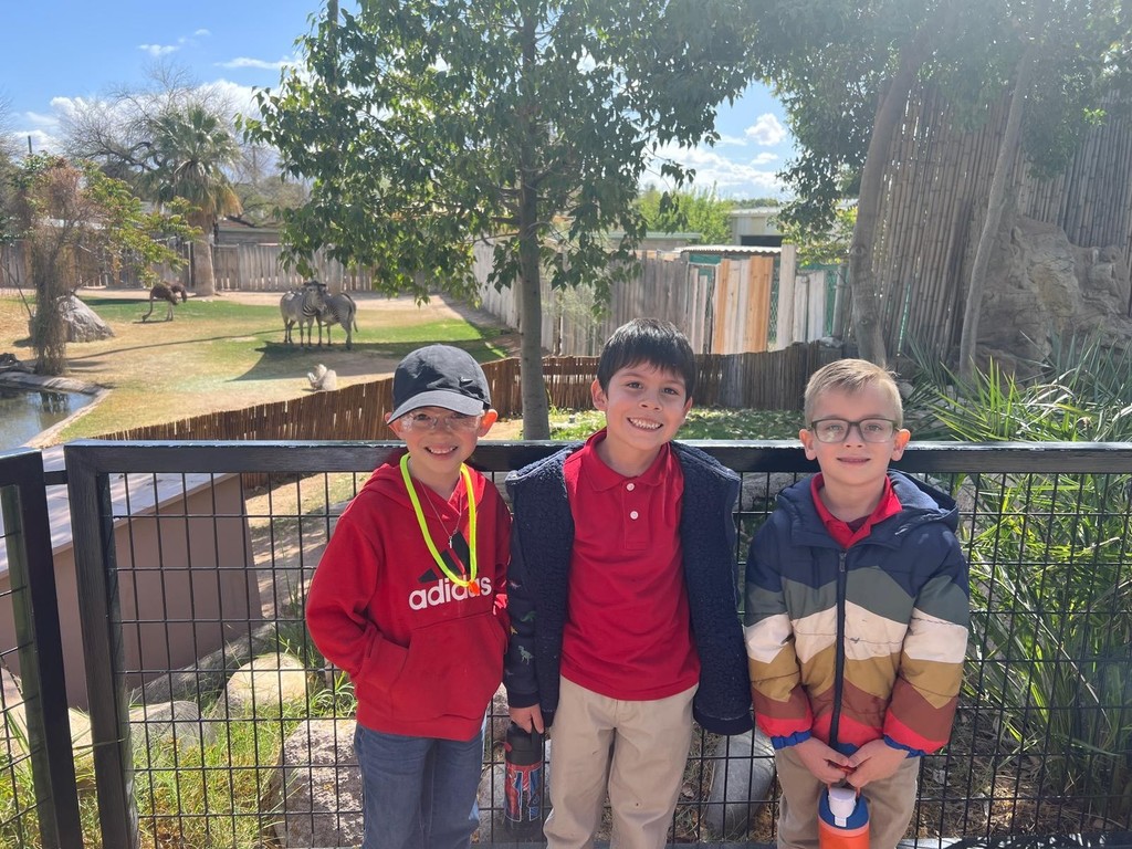 Zoo
