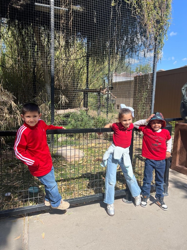 Zoo