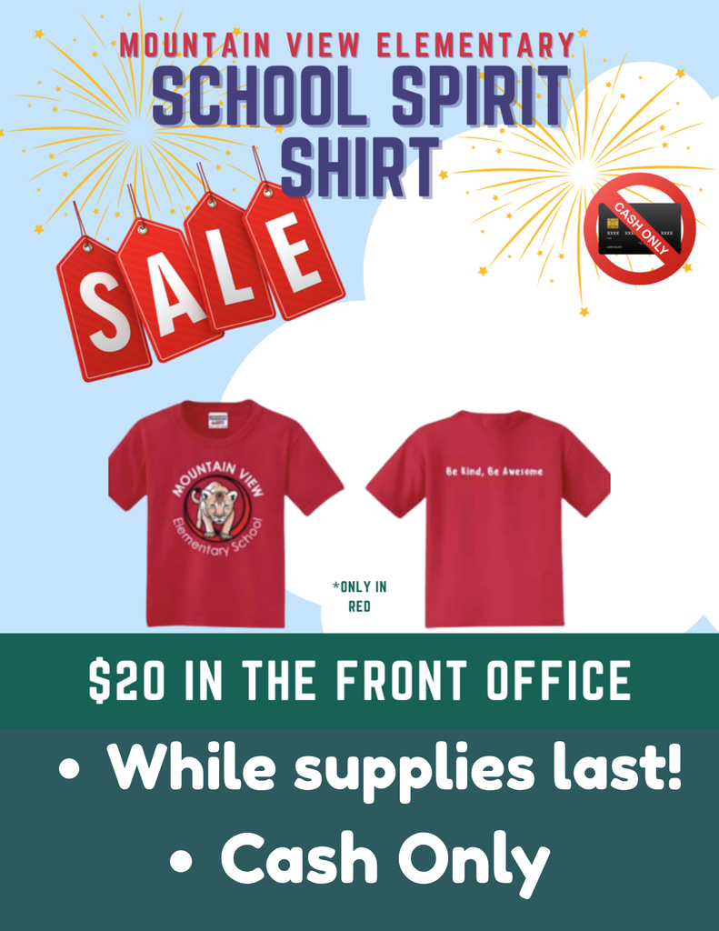 School Spirit Shirts