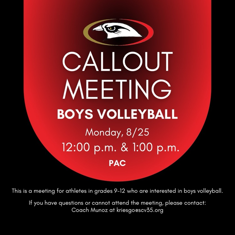 boys volleyball