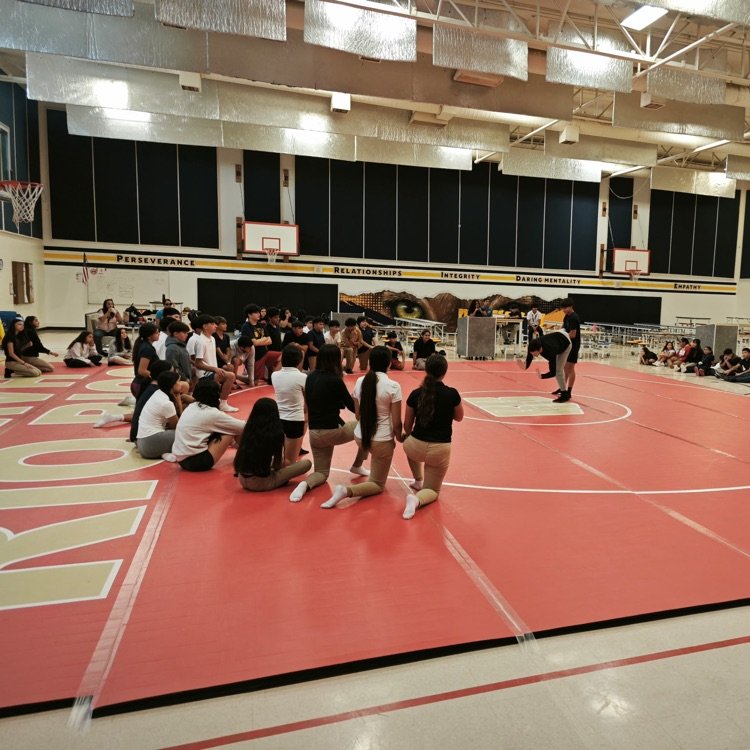 wrestling