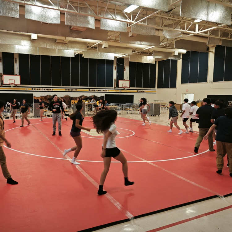 wrestling