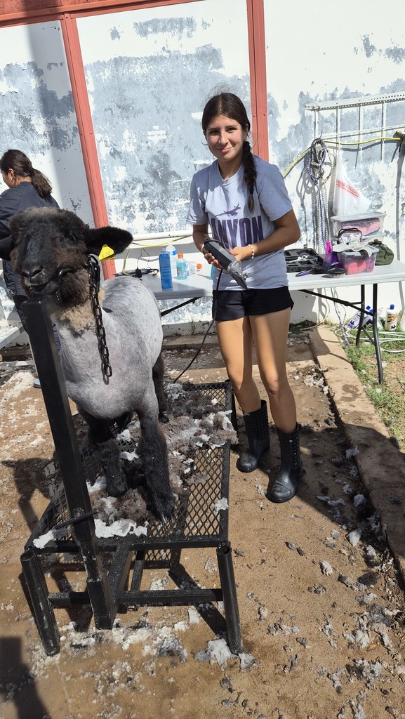RRHS/CTE