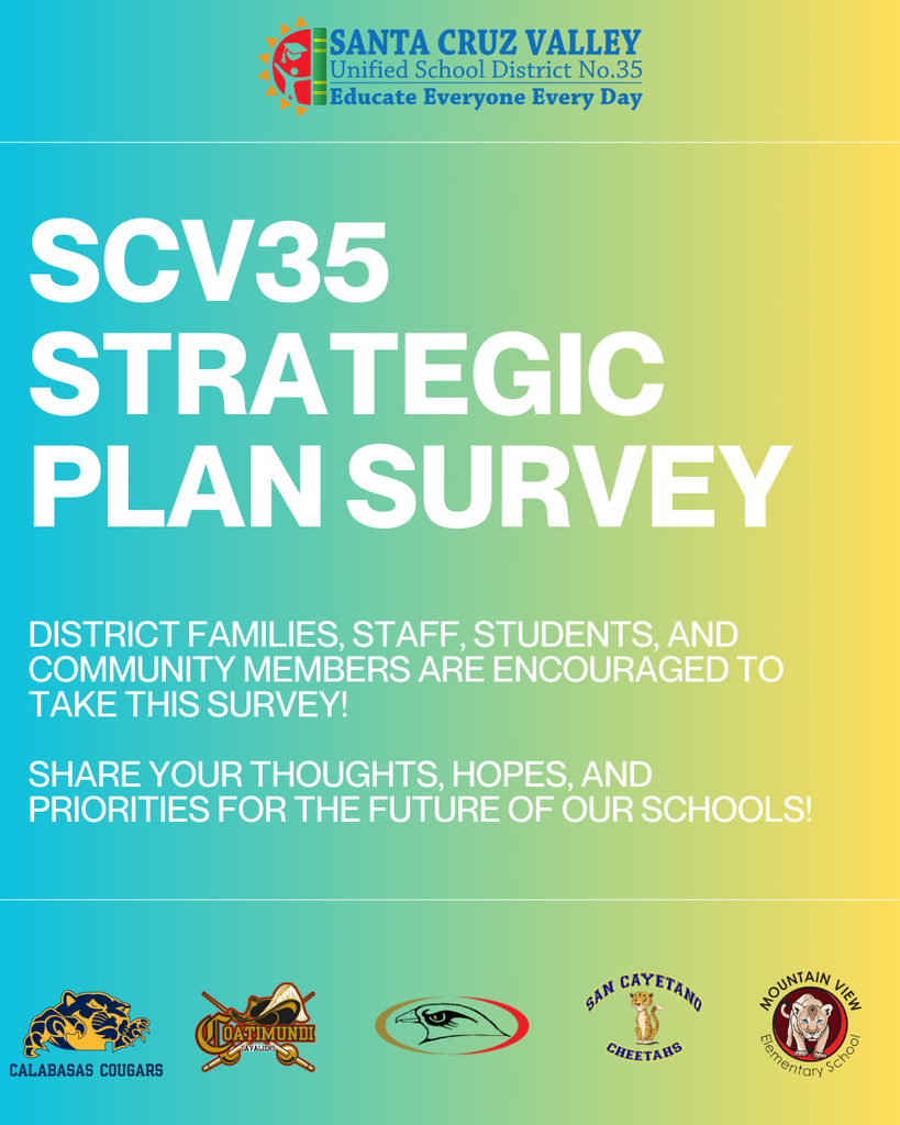 Strategic Plan Survey Graphic