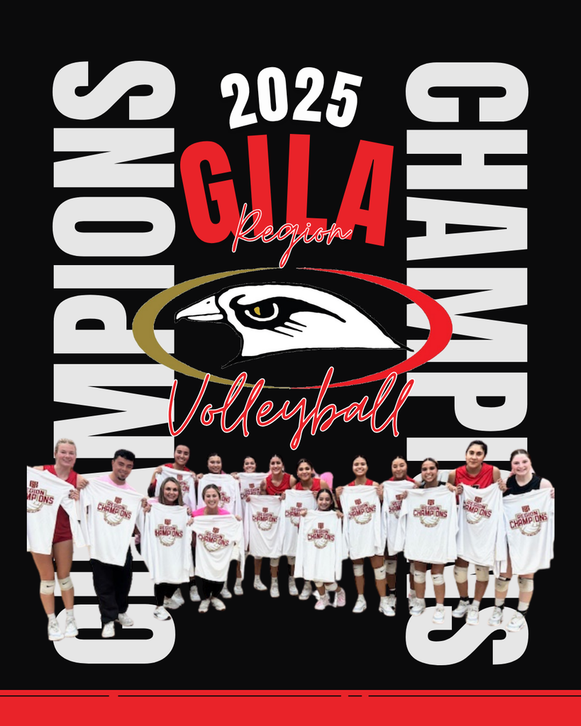 region champions volleyball