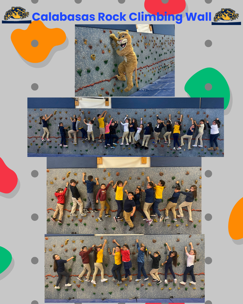 Calabasas Rock Climbing Wall