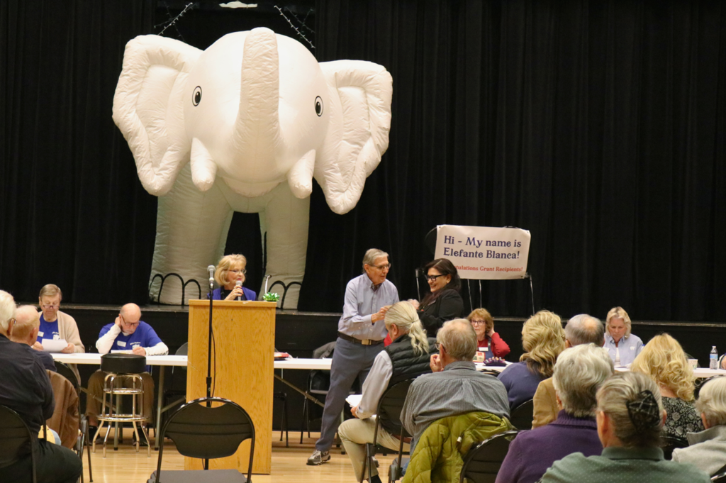 SCV35 with White Elephant