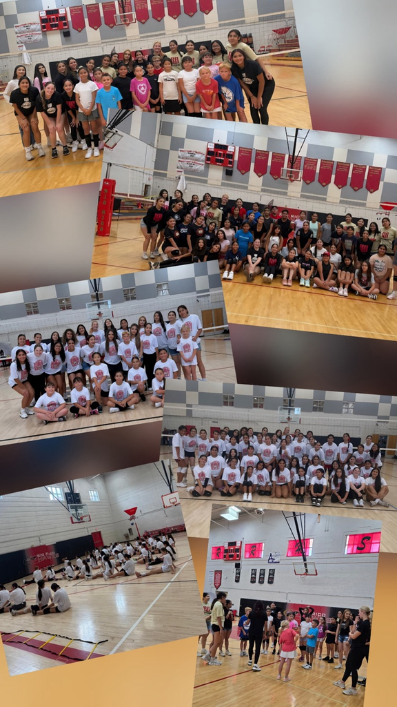 volleyball