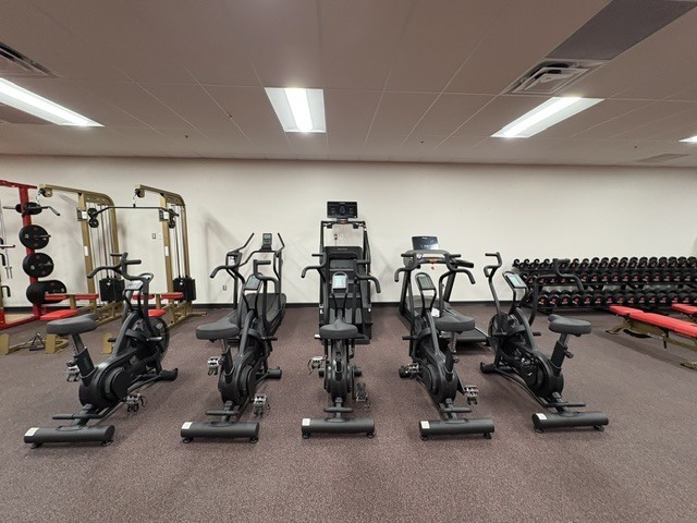 weights