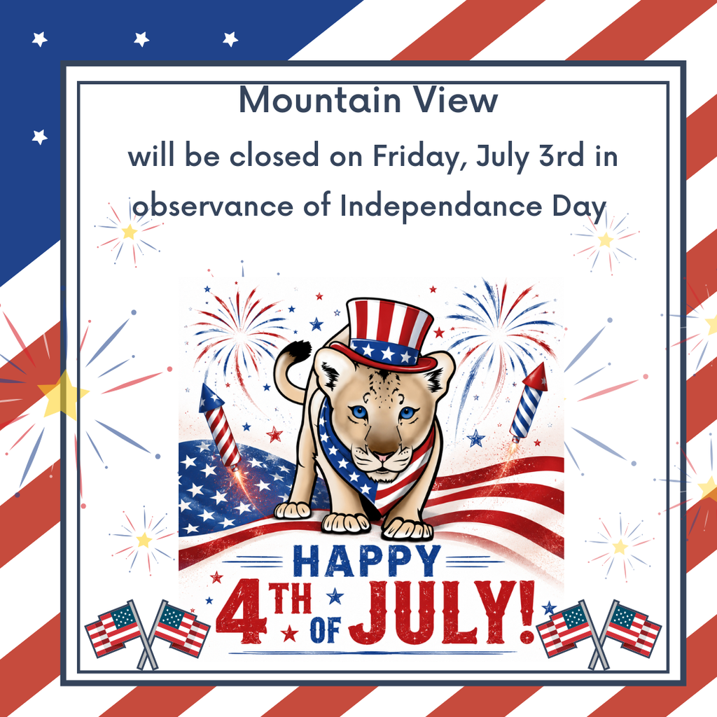 4th of July school closure 