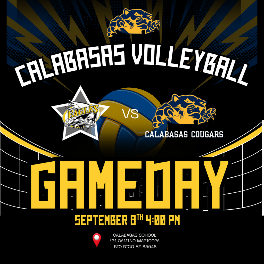 Volleyball Game @ 4pm. 