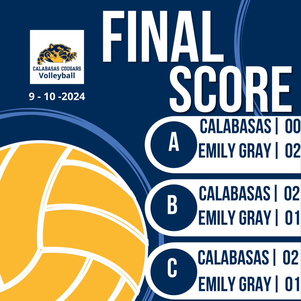 Volleyball Scores