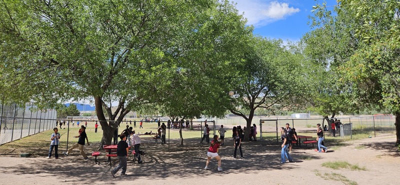 students playing in the field