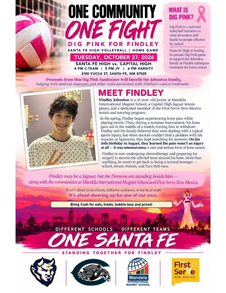 A flyer describing details of SFHS' Dig Pink Game