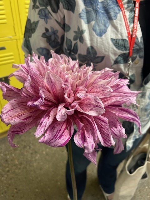 A gift!