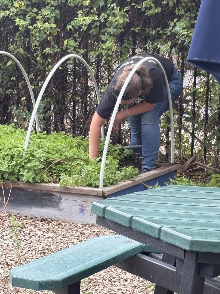 Garden at CGES