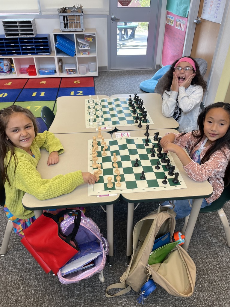 students palying chess