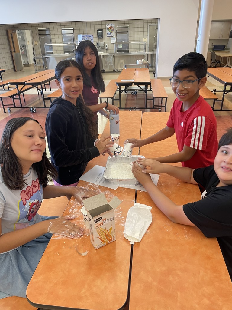 STUDENTS WORKING TOGEHER 