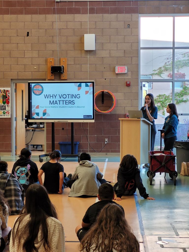 why voting matters