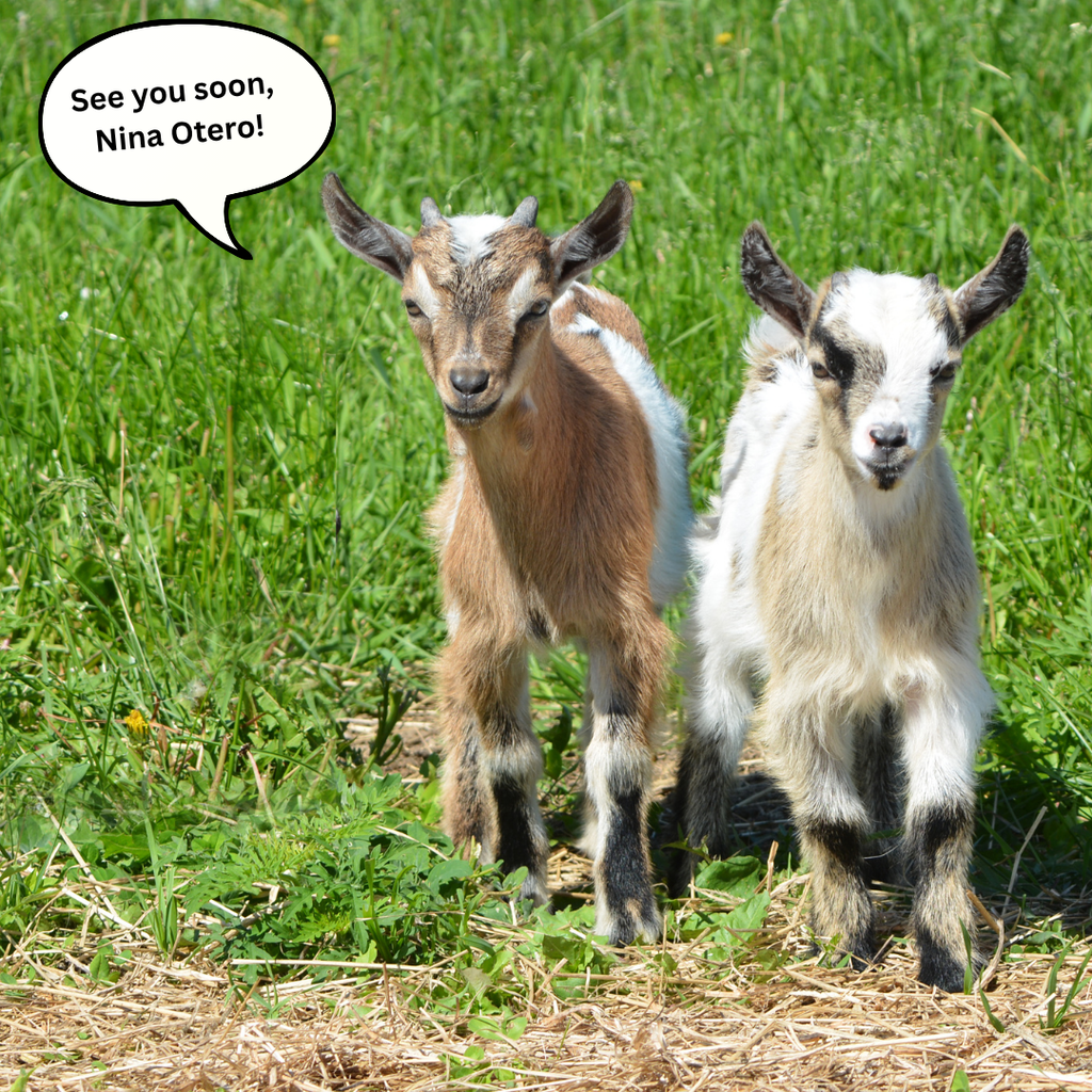 Goats