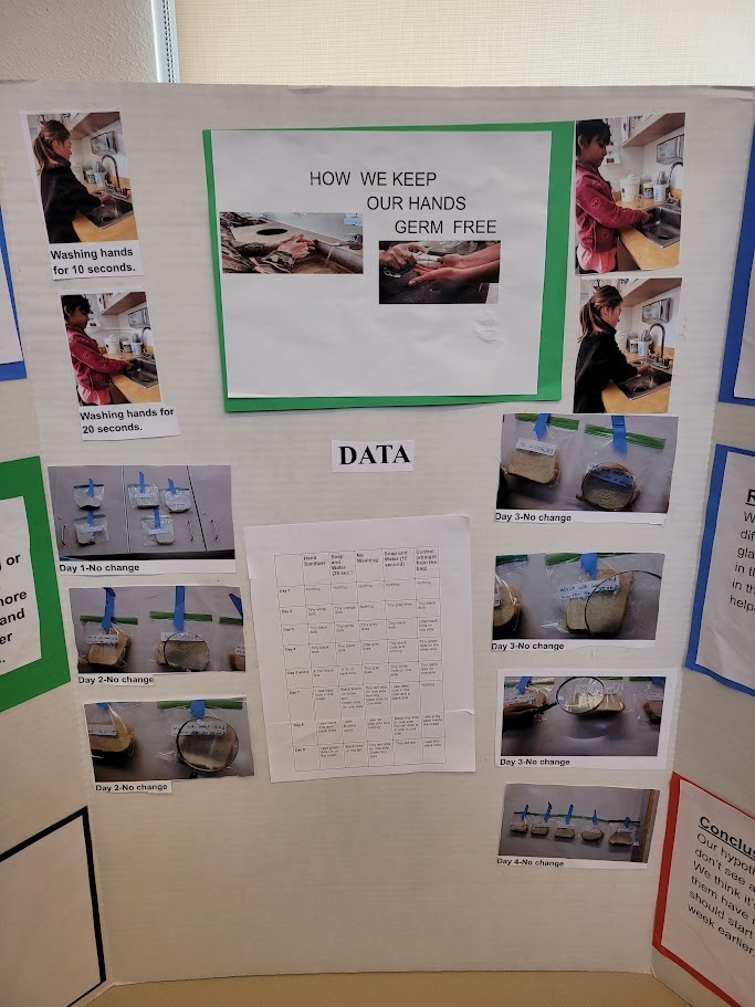 how we keep our hands germ free board