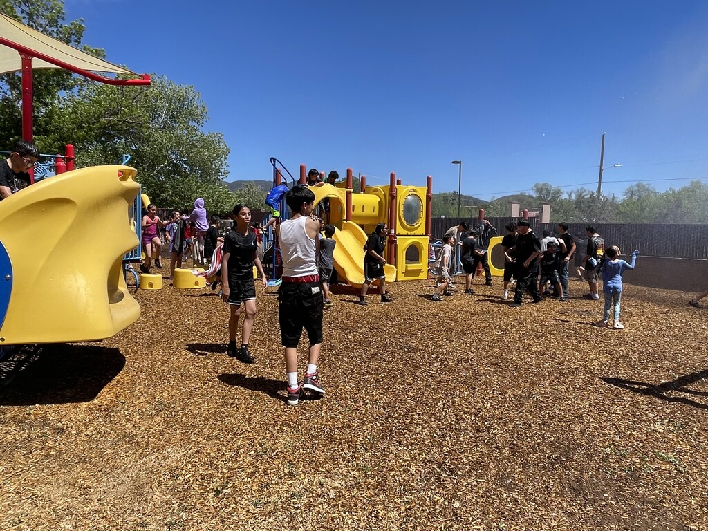 Field Day!
