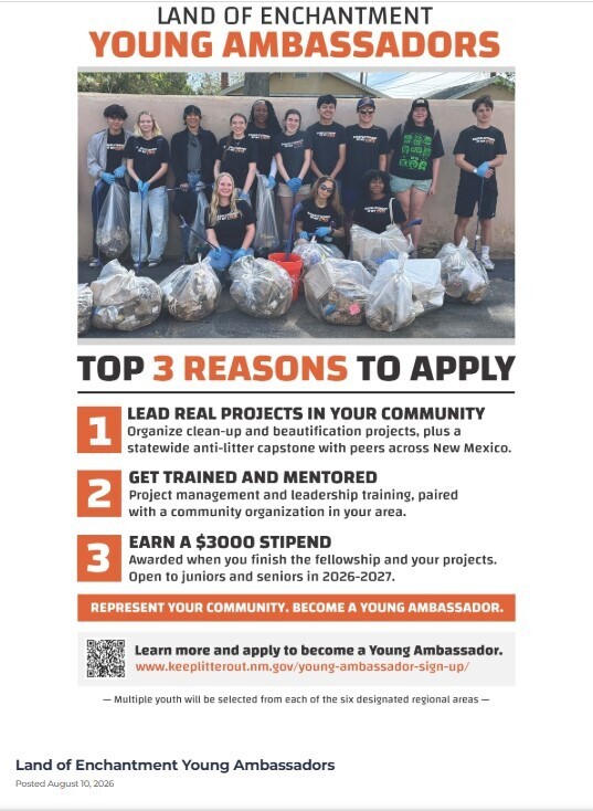 Young Ambassador flyer