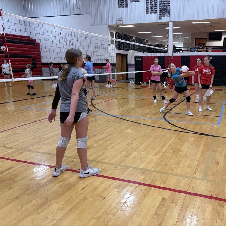 vb