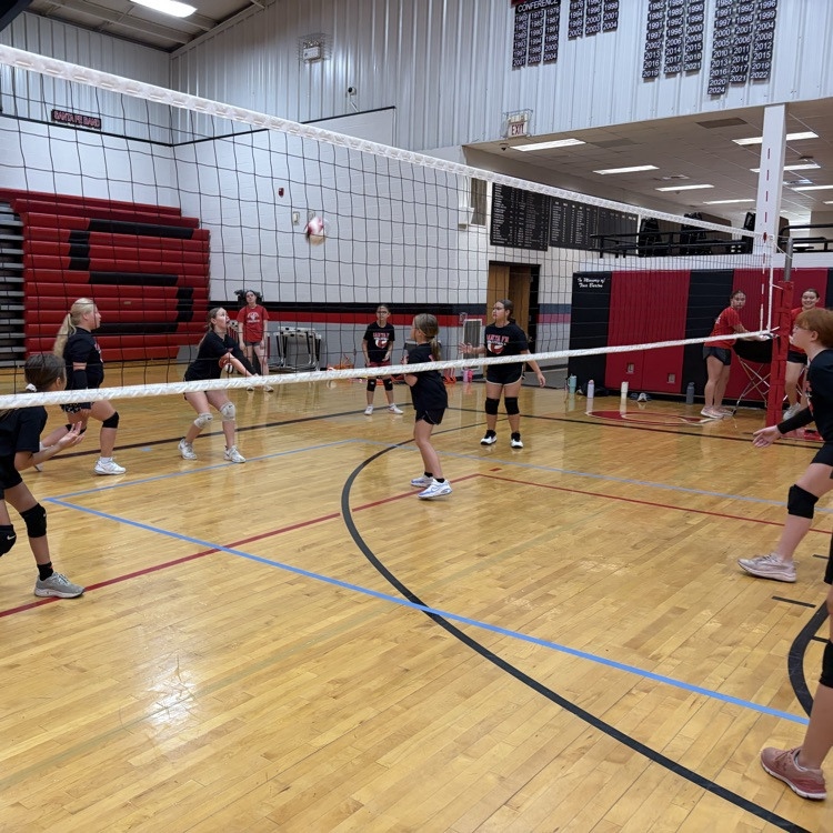 vb