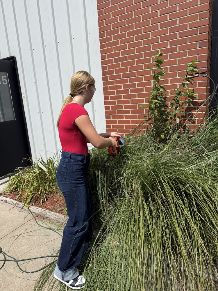 Trimming bushes